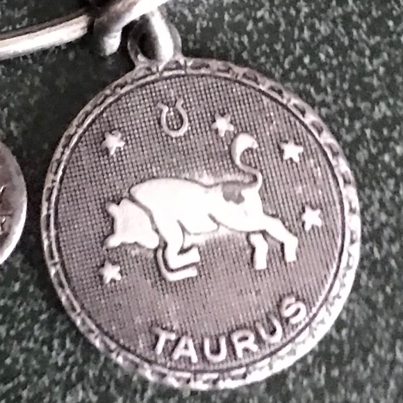 Alex and Ani Silver Expandable Wire Bracelet Taurus - Picture 16 of 16